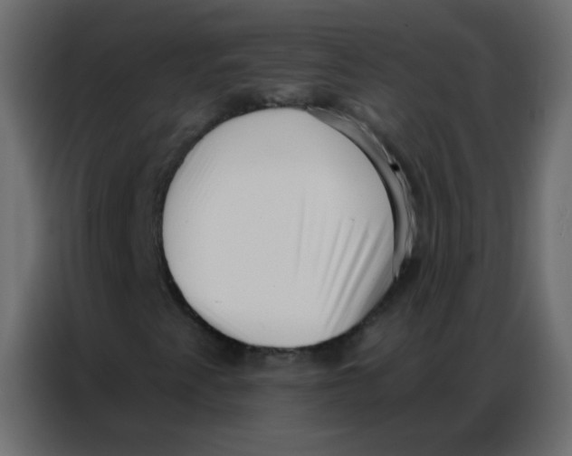 X0000086801345200705041600