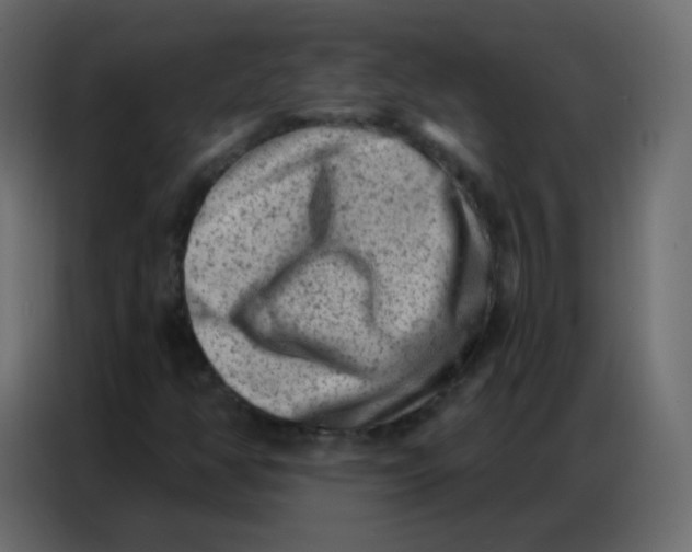 X0000086801350200705041600