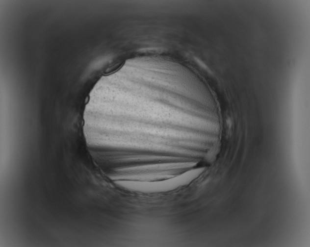 X0000086801351200705041600