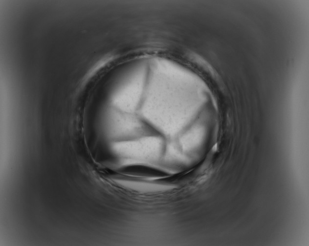 X0000086801352200705041600