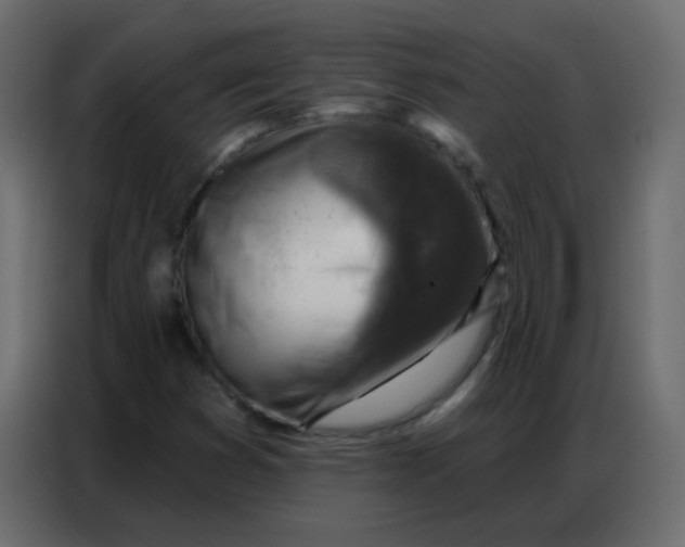 X0000086801353200705041600