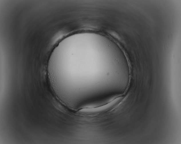 X0000086801355200705041600