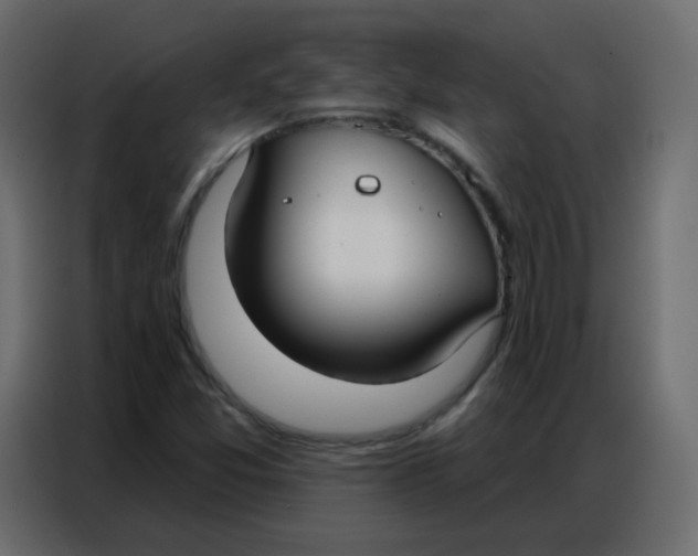 X0000086801357200705041600