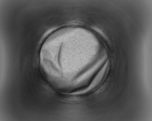 X0000086801358200705041600