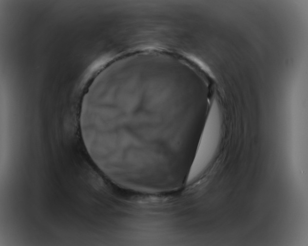 X0000086801359200705041600