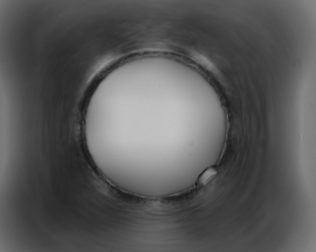 X0000086801360200705041600