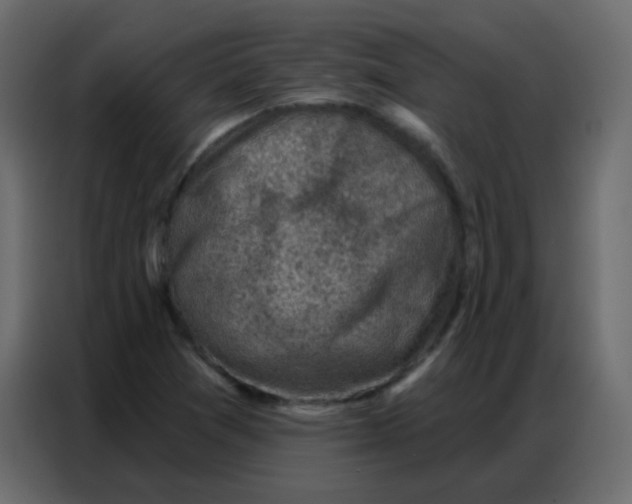 X0000086801361200705041600