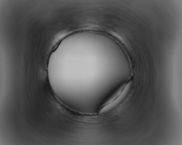 X0000086801363200705041600