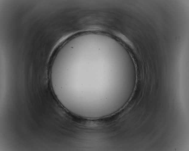 X0000086801364200705041600