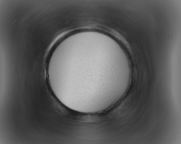 X0000086801368200705041600