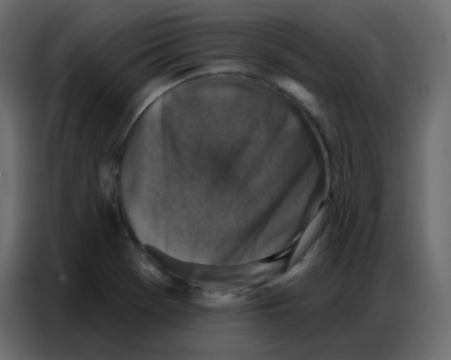 X0000086801369200705041600