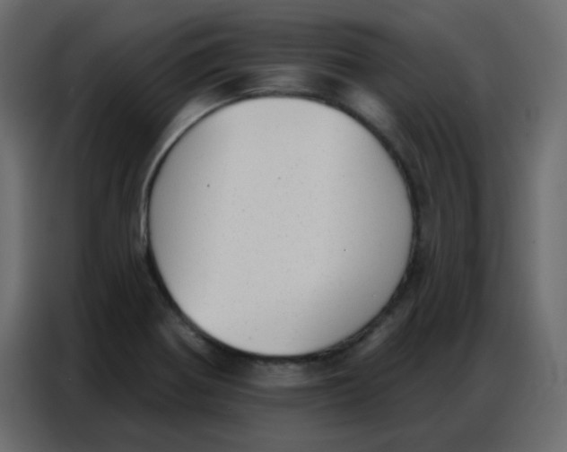 X0000086801370200705041600