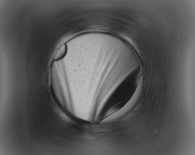 X0000086801371200705041600