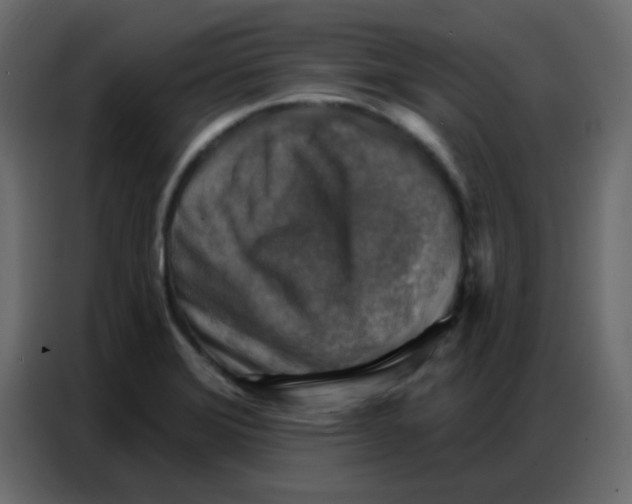 X0000086801372200705041600