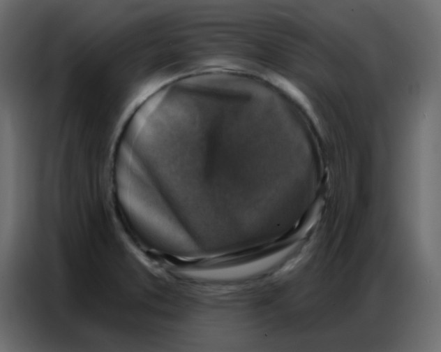 X0000086801373200705041600