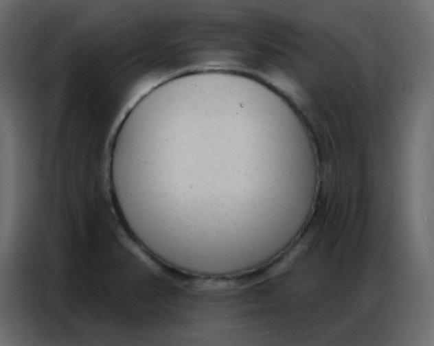 X0000086801374200705041600