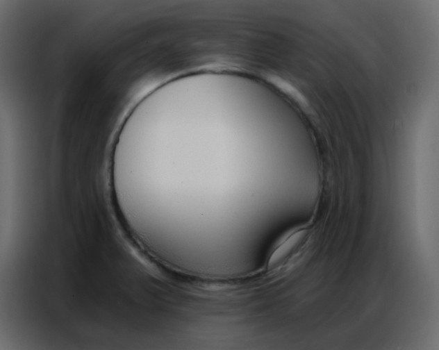 X0000086801375200705041600