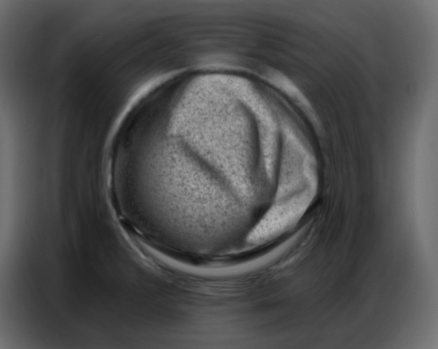 X0000086801376200705041600