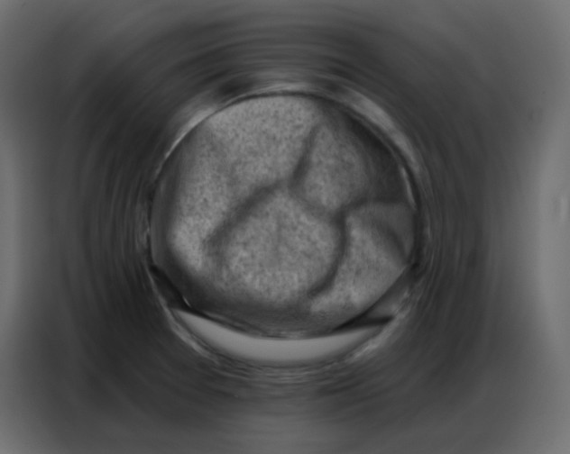 X0000086801377200705041600