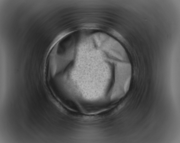 X0000086801378200705041600