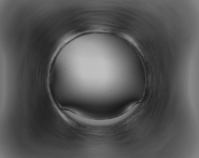 X0000086801379200705041600