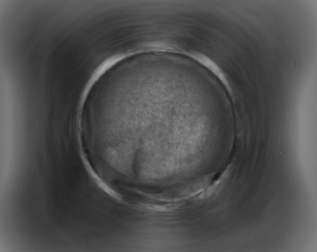 X0000086801381200705041600