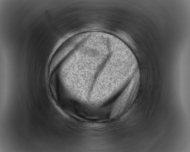 X0000086801382200705041600