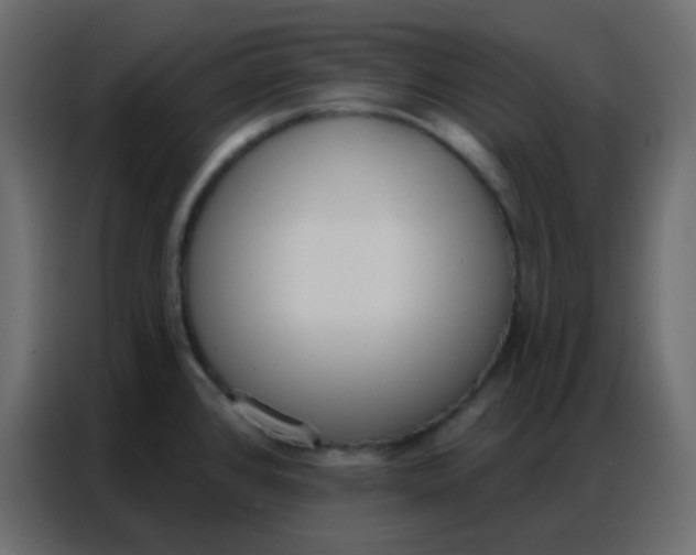 X0000086801384200705041559