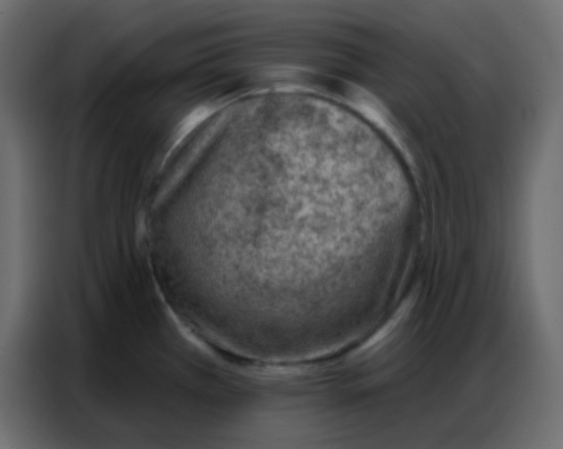 X0000086801385200705041559