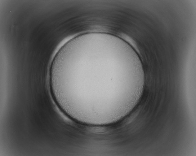 X0000086801387200705041559