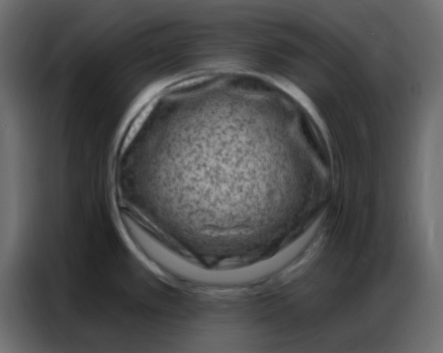 X0000086801389200705041559