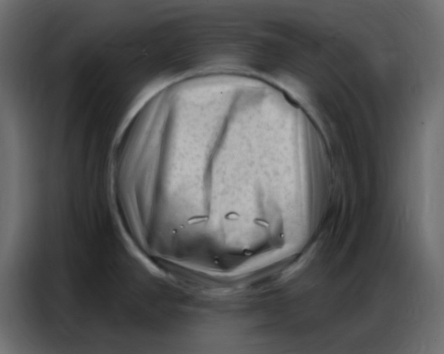 X0000086801390200705041559