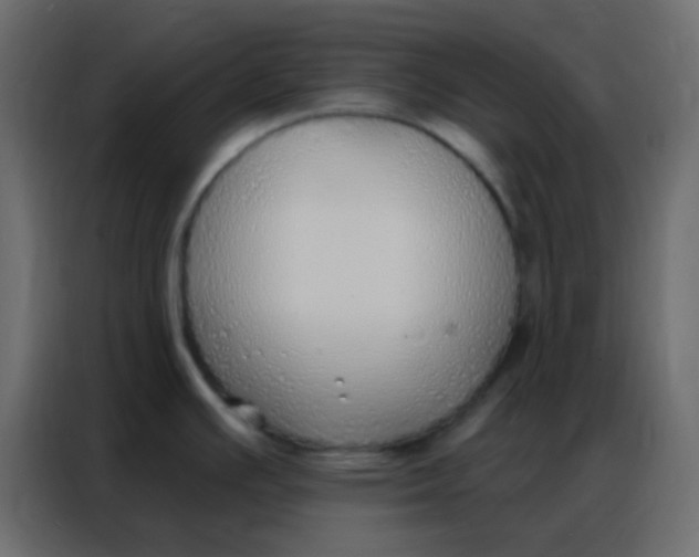 X0000086801391200705041559