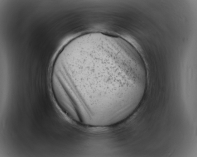 X0000086801392200705041559