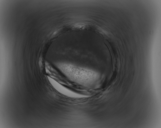 X0000086801394200705041559