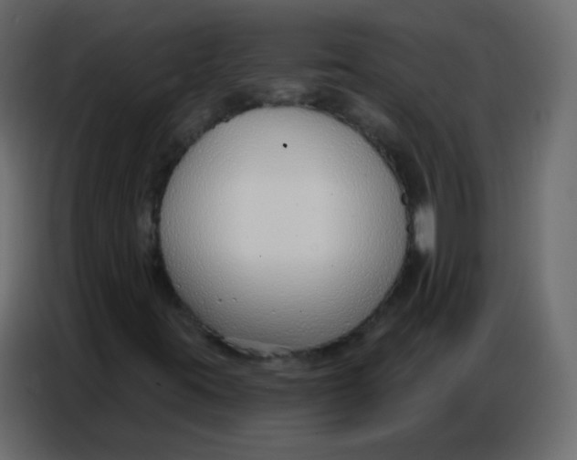 X0000086801395200705041559