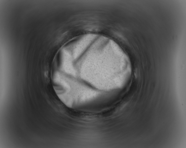 X0000086801396200705041559