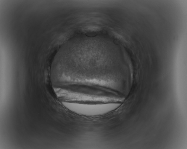 X0000086801397200705041559