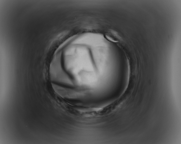 X0000086801398200705041559