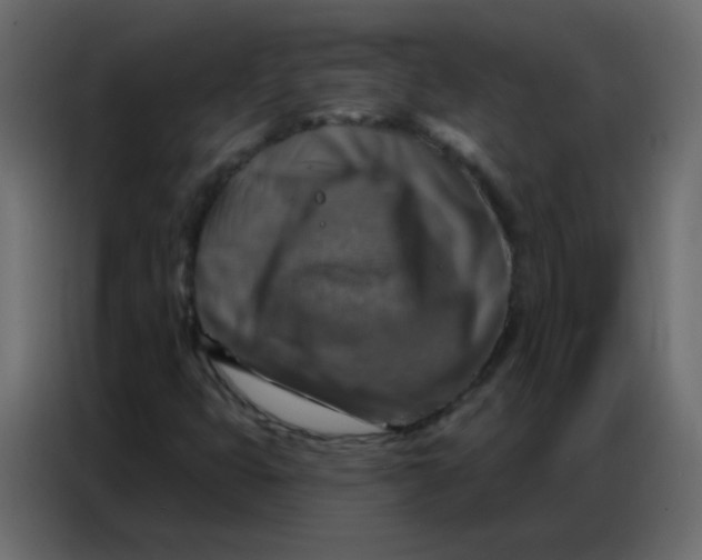 X0000086801399200705041559