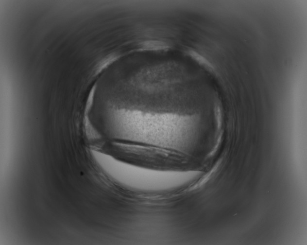 X0000086801401200705041559