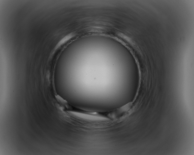 X0000086801402200705041559