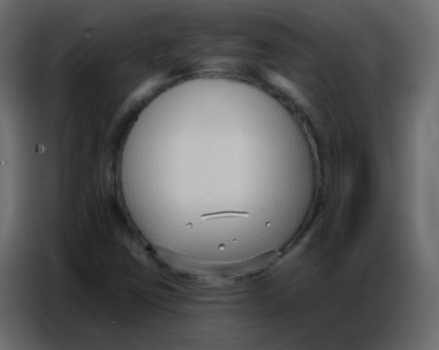 X0000086801403200705041559