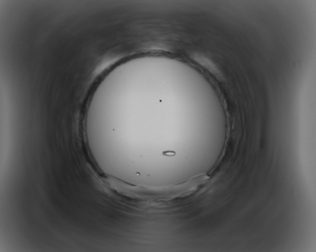 X0000086801404200705041559