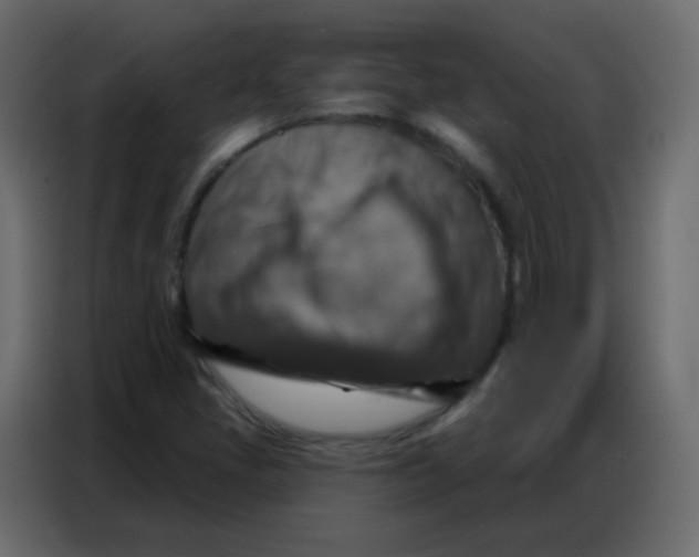 X0000086801405200705041559