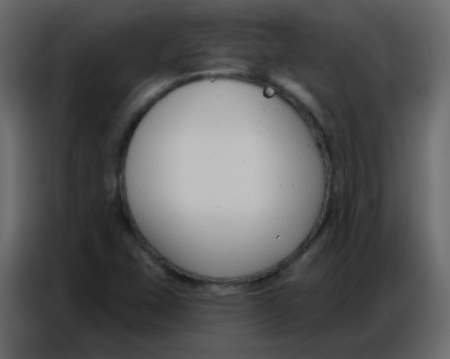 X0000086801407200705041559