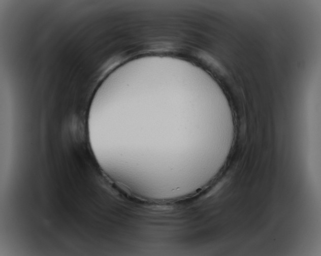 X0000086801409200705041559