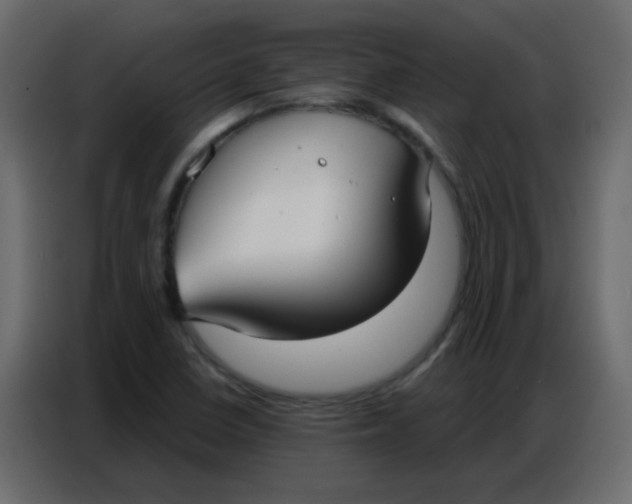 X0000086801410200705041559