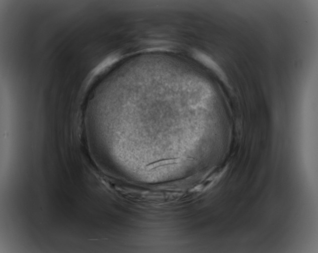 X0000086801411200705041559