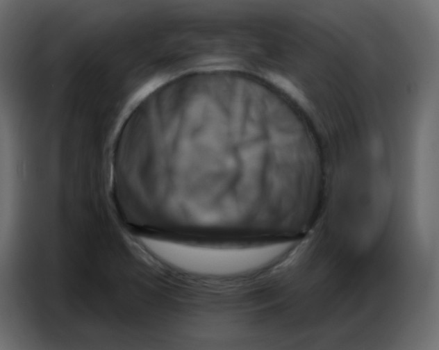 X0000086801413200705041559